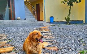 Pássaros do Cerrado Suítes